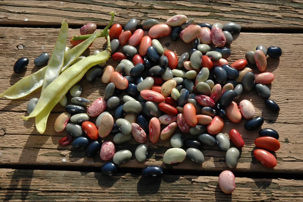 Dried beans are cheaper than canned beans and can be cooked in bulk